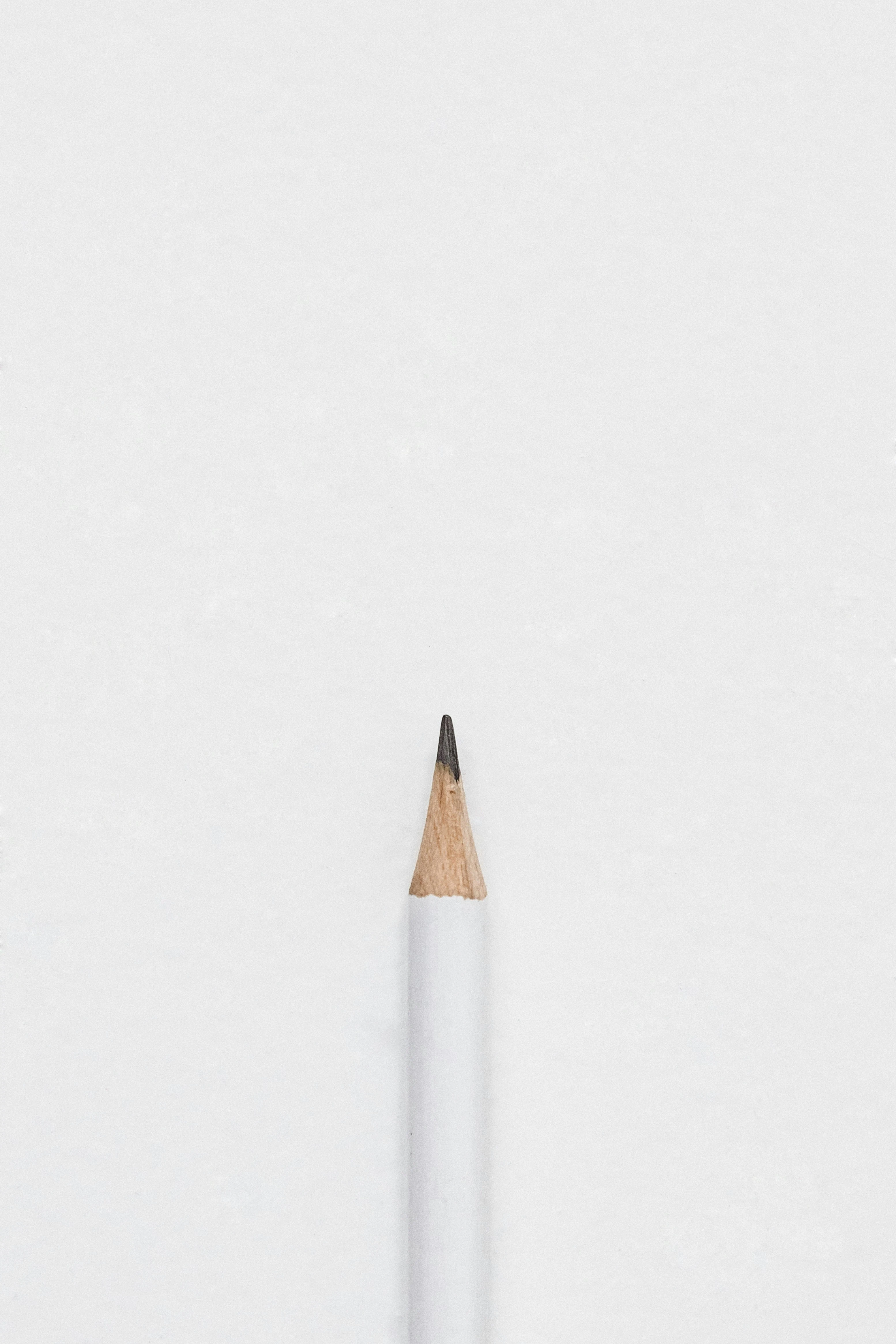 A minimalist pencil drawing